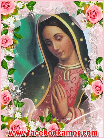 Bajar Imagenes Dela Virjen De Guadalupe Gratis}