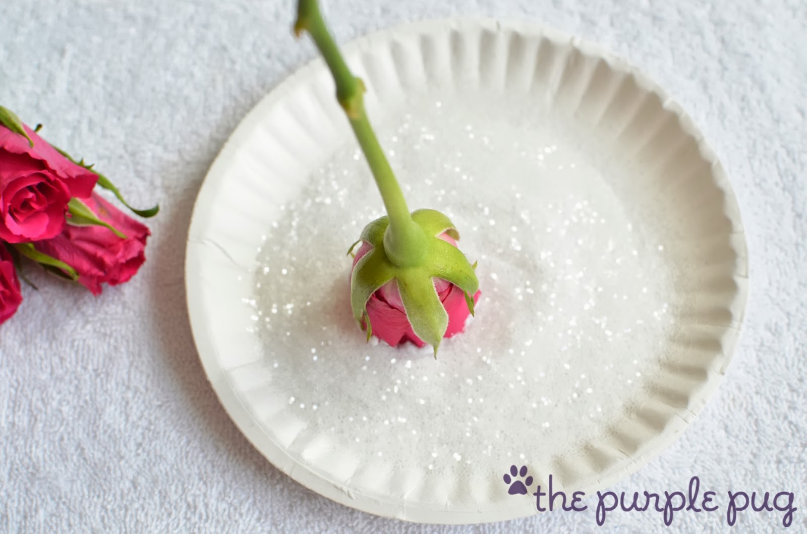 The Purple Pug Everything is coming up Glittered Roses {Cute Tute}