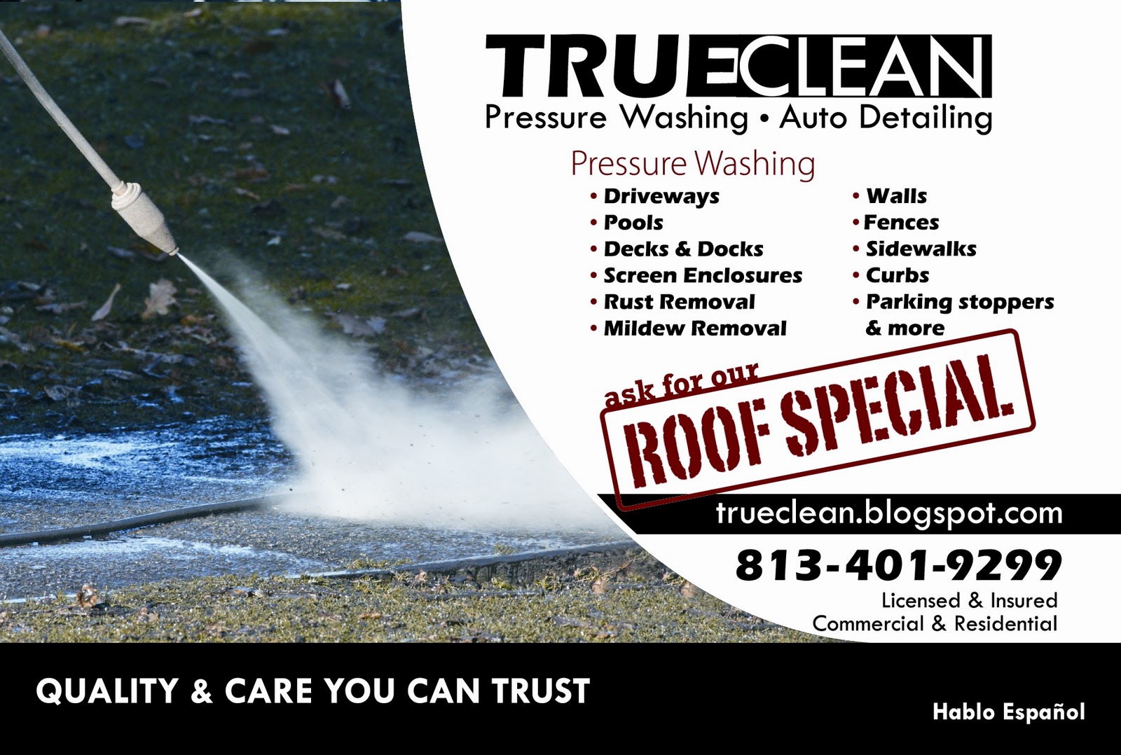 True Clean Pressure Washing & Auto Detailing Specials
