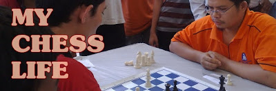 My Chess Life