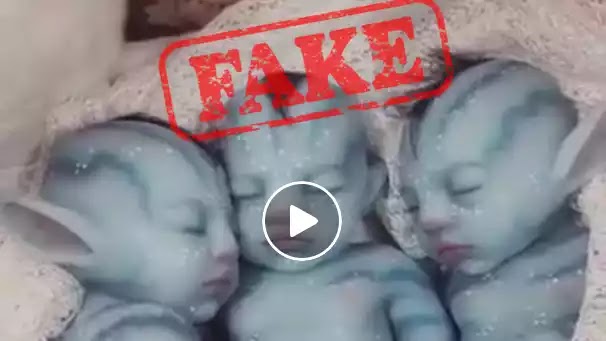 Όταν στο Internet κυριαρχούν αδίσταχτοι ! η Γερμανίδα το έκανε με σκύλο και έκανε κουτάβια! (Βίντεο) Όταν στο Internet κυριαρχούν αδίσταχτοι ! η Γερμανίδα το έκανε με σκύλο και έκανε κουτάβια! (Βίντεο)