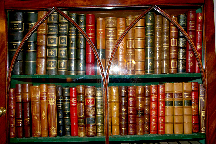 short essay on the book i like most short essay on the book i like most