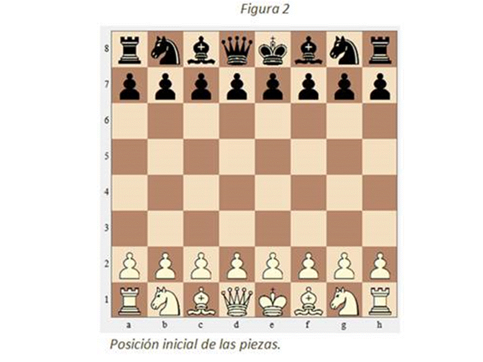 LECTURASPRIMARIA AJEDREZ actividades, el movimiento del caballo