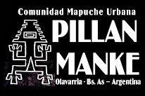 Comunidad Mapuche Pillan Manke
