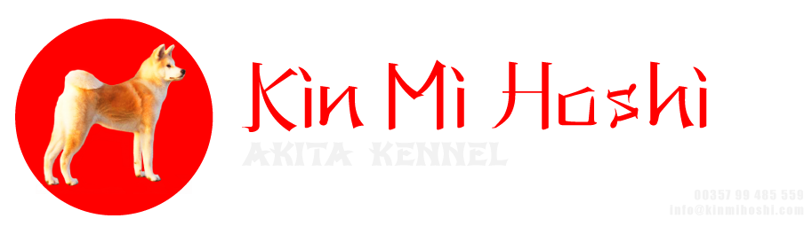 KinMiHoshi