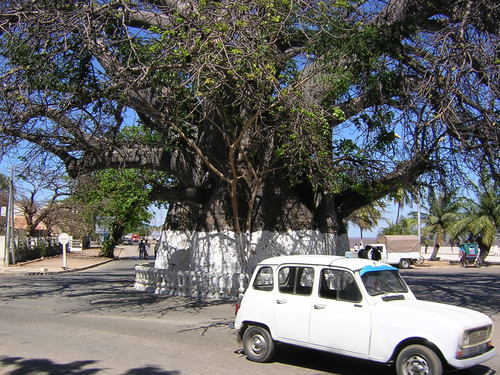 rencontre homme majunga