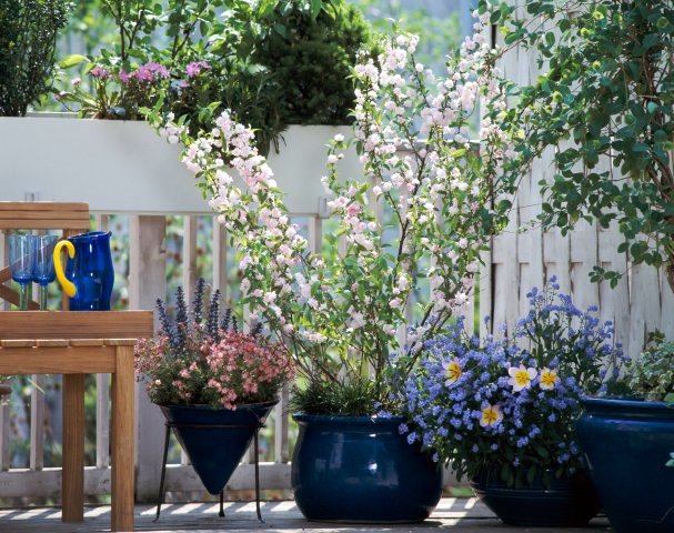 ... Spring Inspiration: Patio garden designs for apartment and backyard