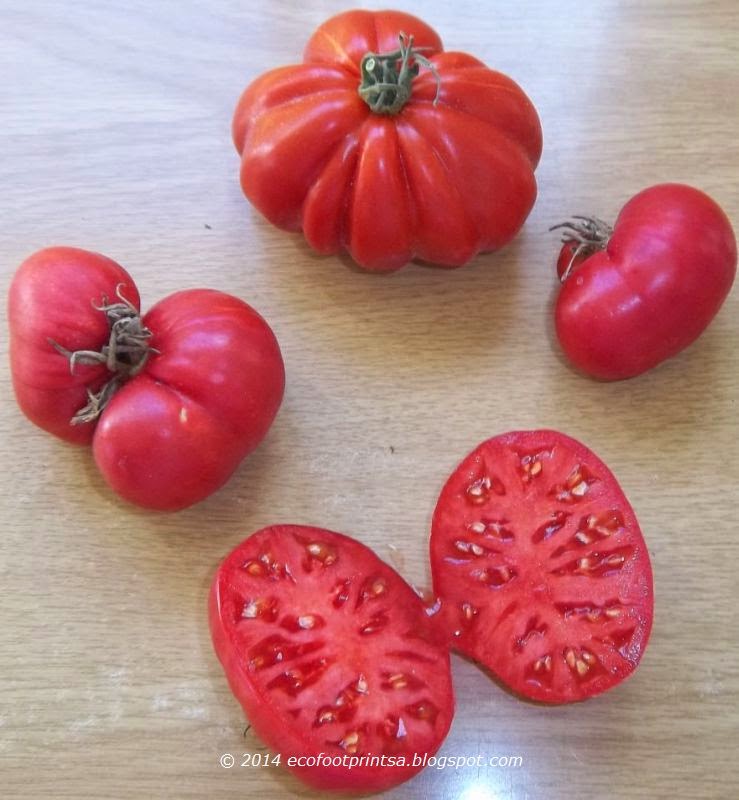 Eco Footprint South Africa Simple tomato supper