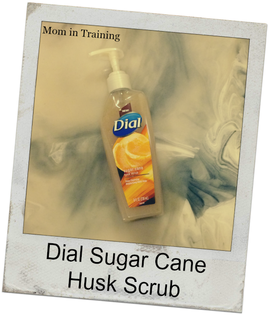 Stacy Tilton Reviews Dial Sugar Cane Husk Scrub Dial PurexInsiders SugarCane SugarCaneHuskScrub