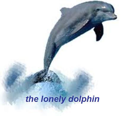 the lonely dolphin