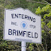 Brimfield or bust and we have a winner!