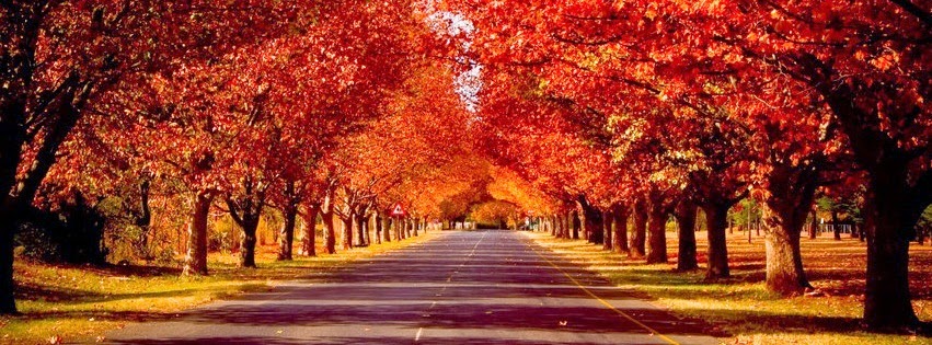 calendars printable twitter headers facebook covers autumn header