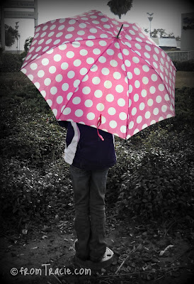Pink Polka Dot Umbrella