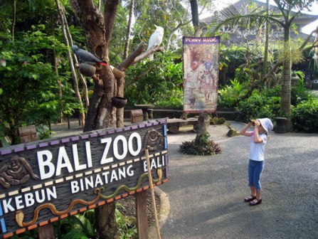 wisata bali zoo