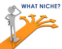 what is your niche ?