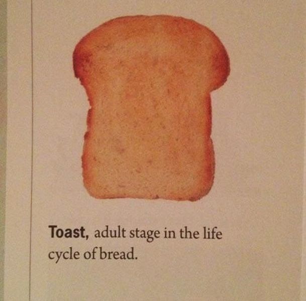 toast.jpg