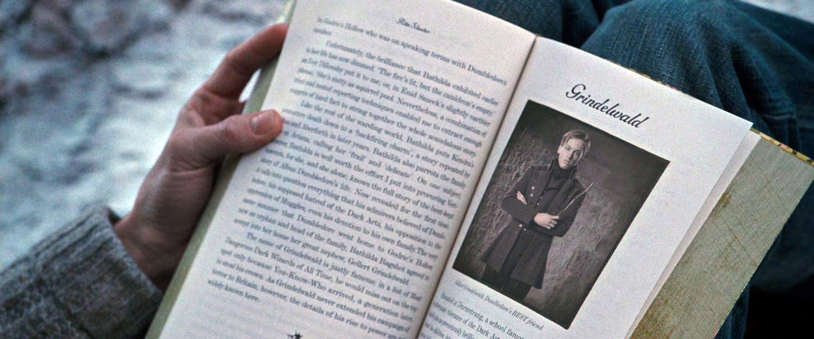 rita skeeter book on dumbledore rita skeeter book on dumbledore