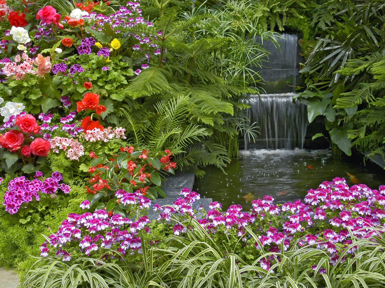Hd Flower Garden Wallpaper Hd Flower Garden Wallpaper