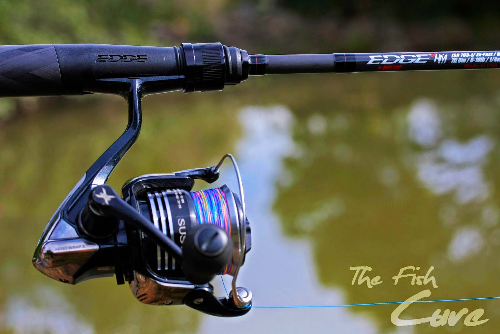 The Fish Cure MOVING FORWARD WITH EDGE RODS