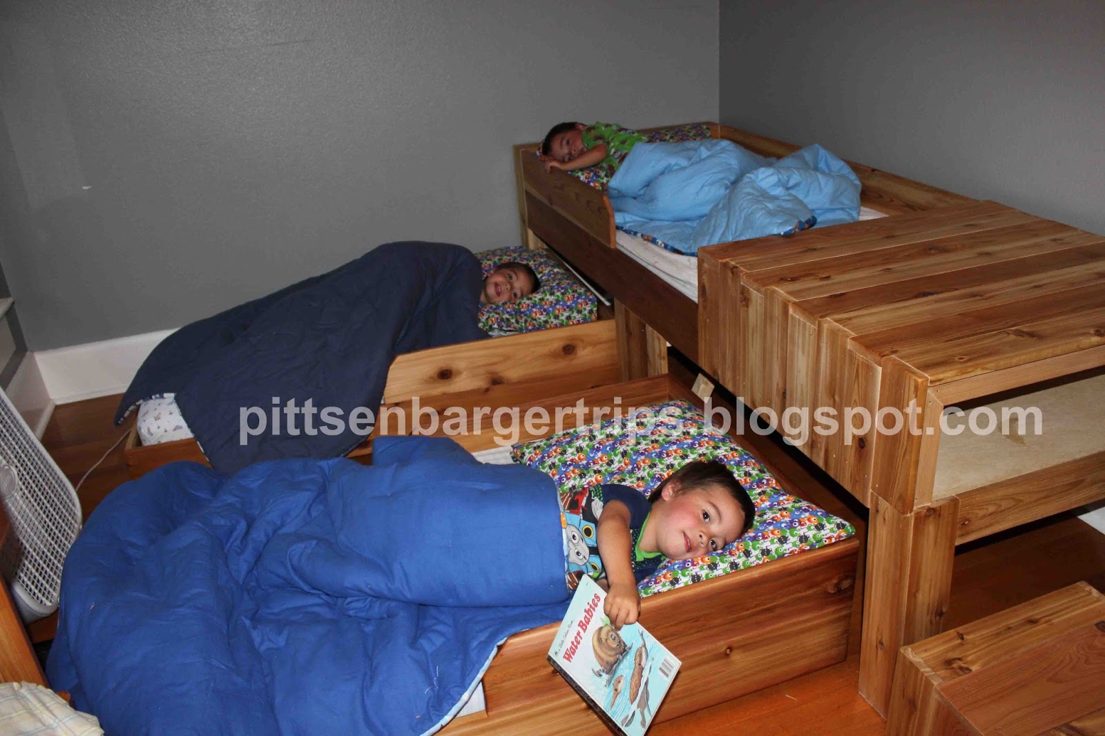 PITTS TRIP'S the Pittsenbarger identical triplets saga Big Boy Beds!