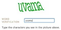 Captcha penceresi