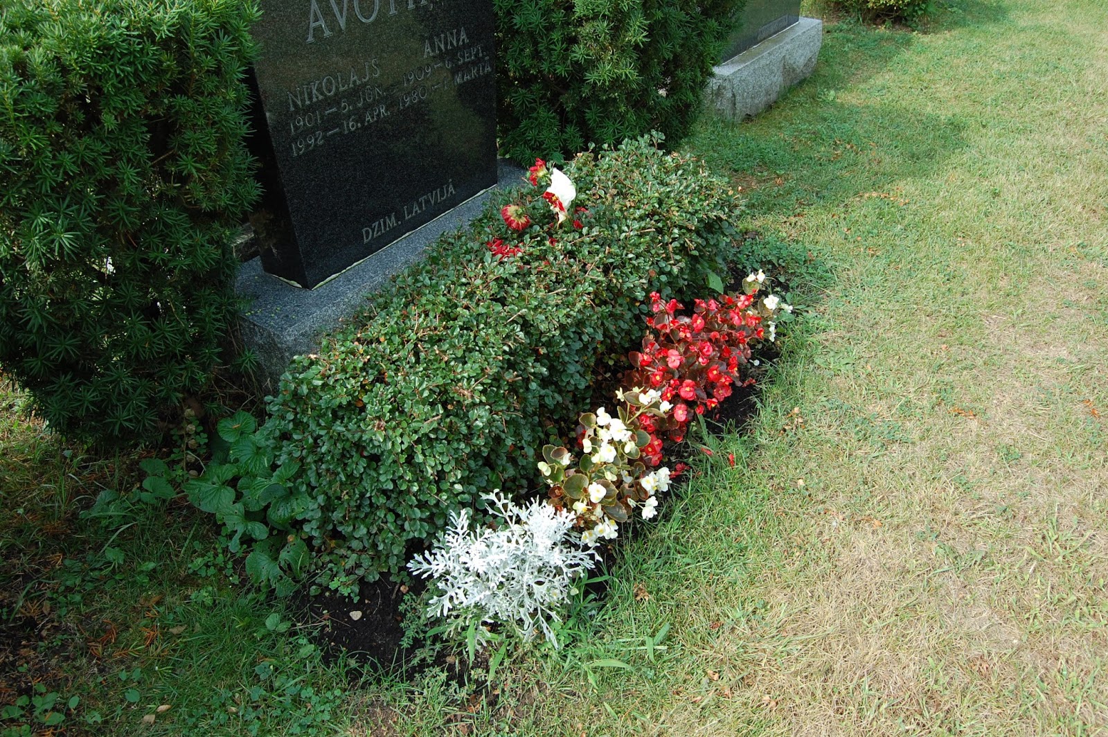 Astrid's Garden Design Cemetery Plants