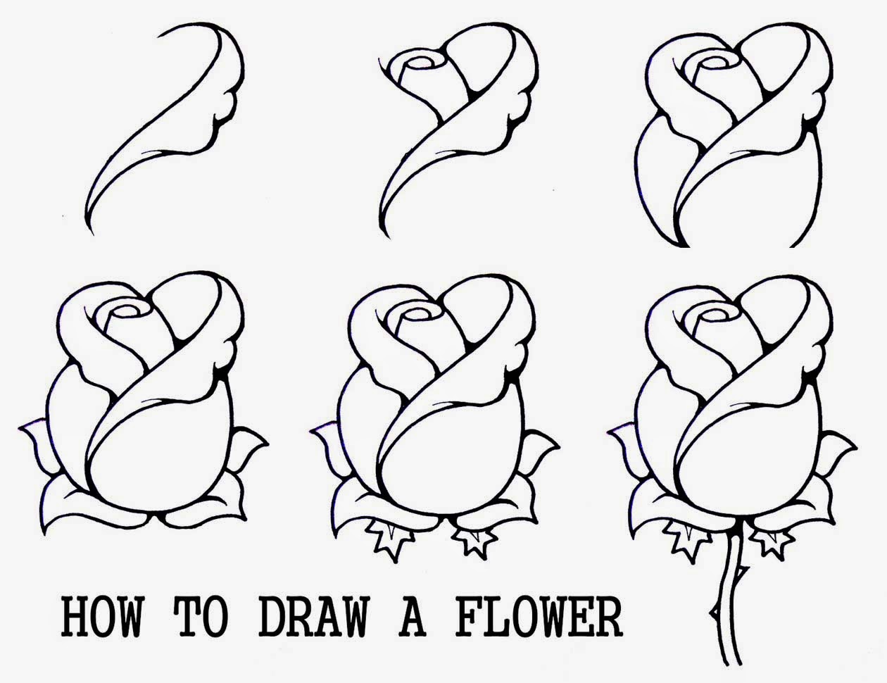 Drawing How To Draw A Rose Flower