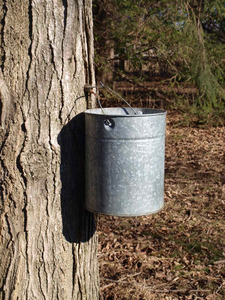 Ohio Thoughts Maple Syrup Making