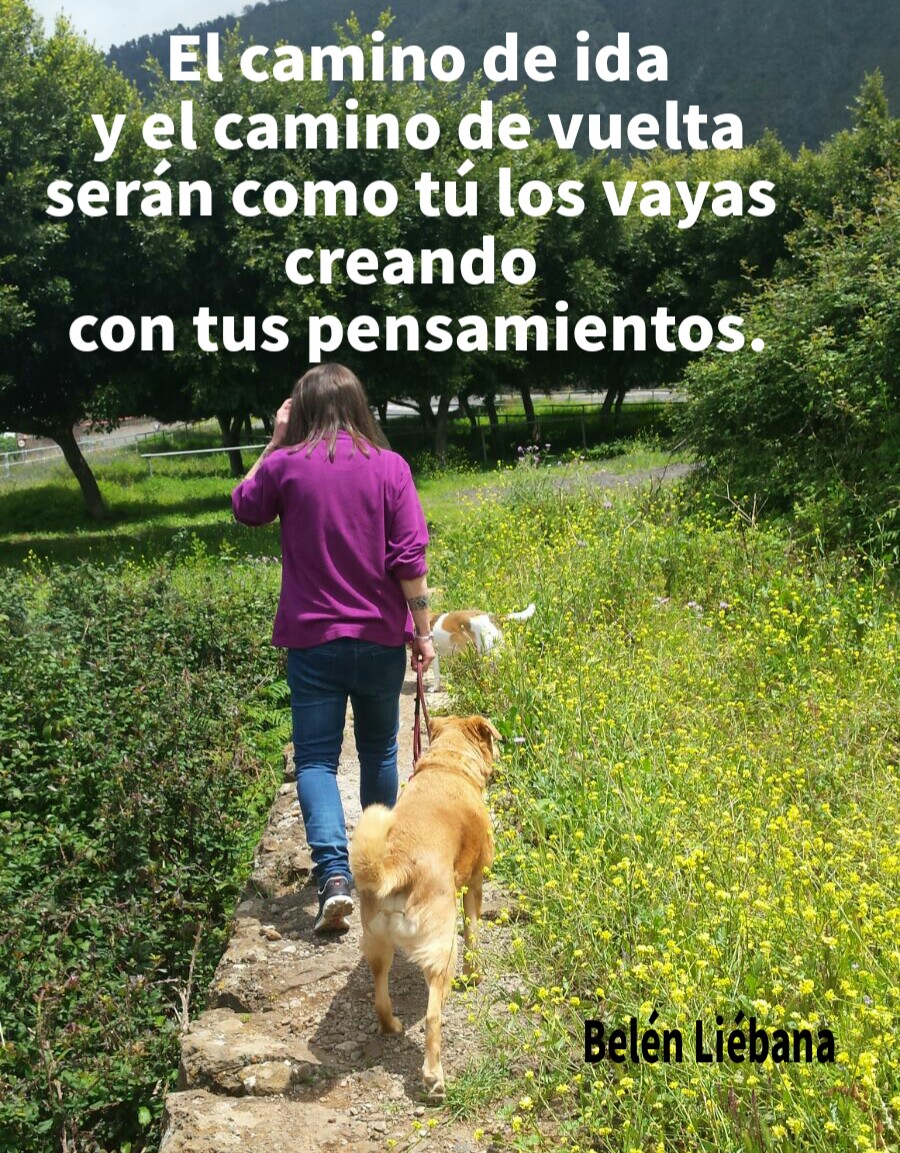 VIVIR EN CONSCIENCIA