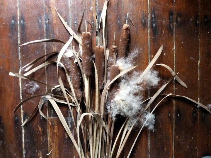 ever green knits Cattail Yarn