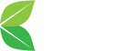 Free Premium Link