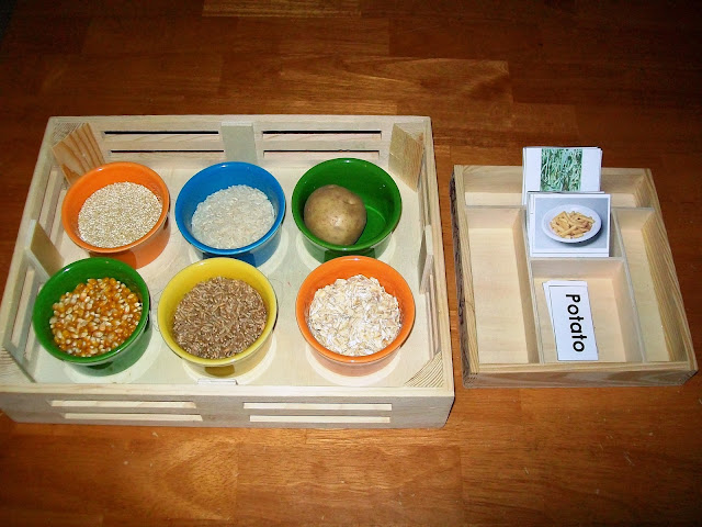 Grain Matching Activity