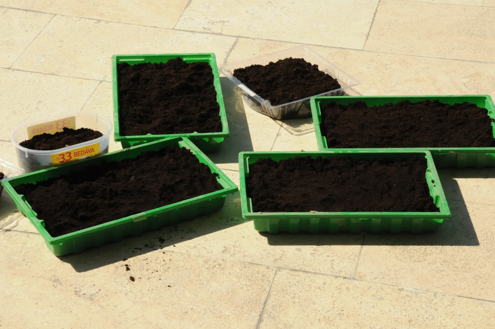 Fide Viyolu 5 Adet 48 Gozlu Fide Viyolleri Fide Yetistirme Kabi 48 Goz Viyol Insert Fiyati Ve Ozellikleri Gittigidiyor