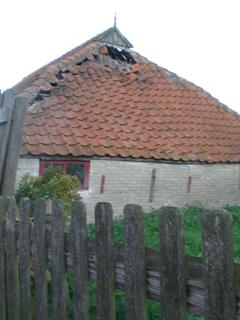 Im Hinterhof