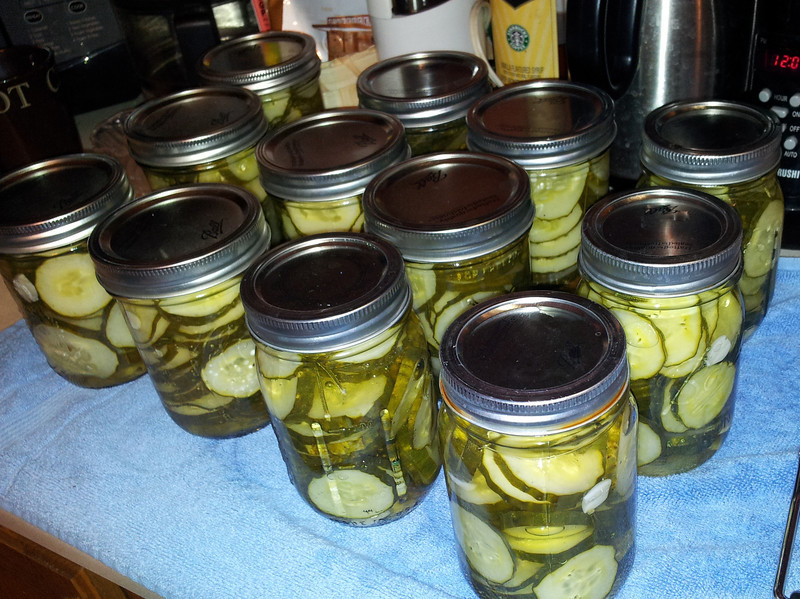 Food By Carrie Garlic Dill Pickles for 12 pints