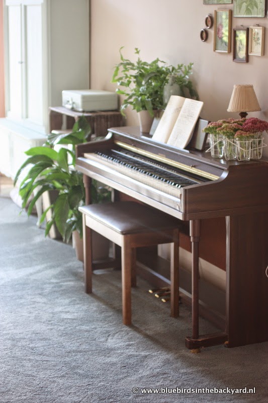 Bluebirds in the backyard My Hammond Piano