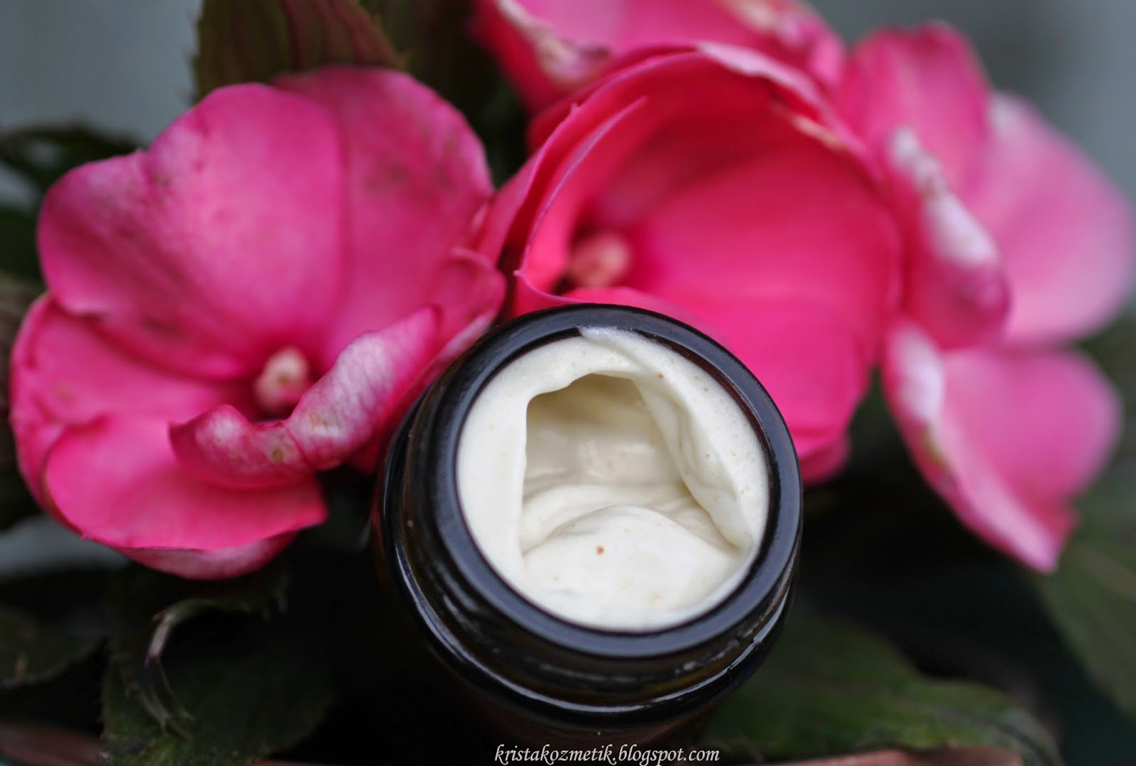 Krista Kozmetik DIY Hafif ilkbahar yüz kremi / DIY Light spring face cream