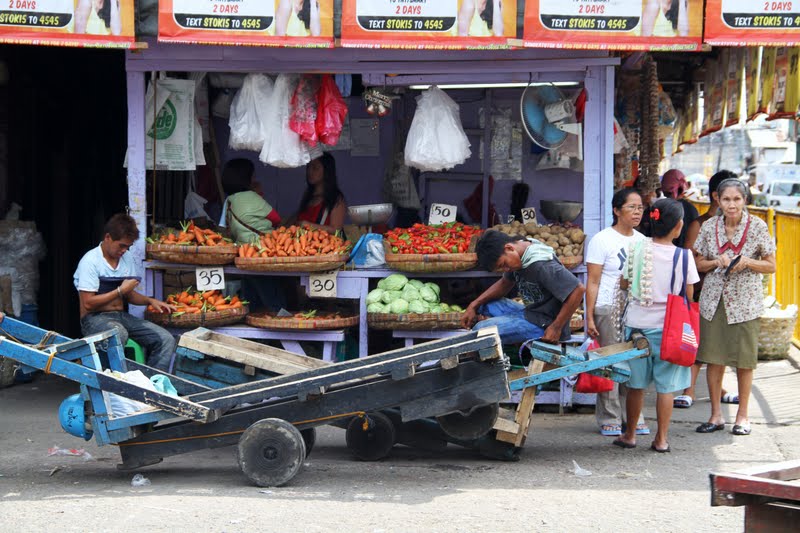 Nicole W.C. Simkin: Part III- Carbon Market - Cebu City