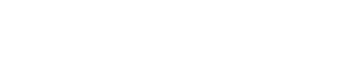 Diário de Viagem - UniEVANGÉLICA