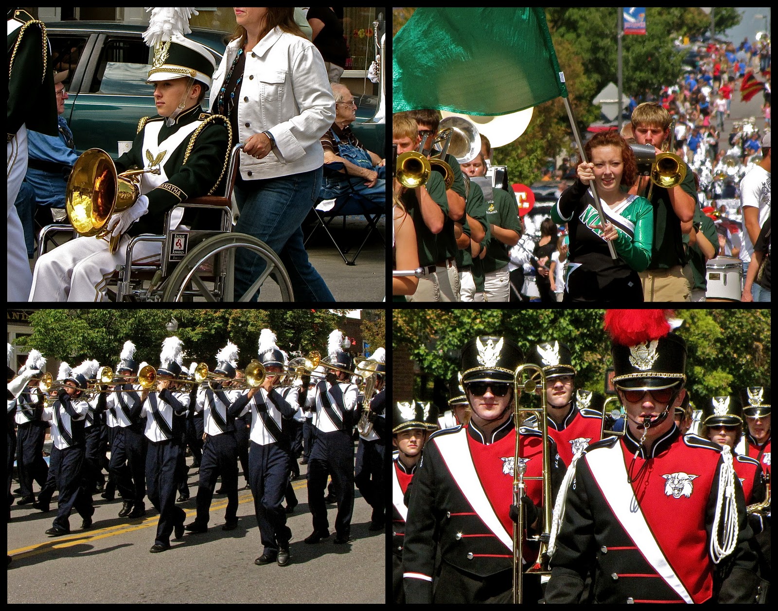 The Animals Have Escaped Drum Roll please!