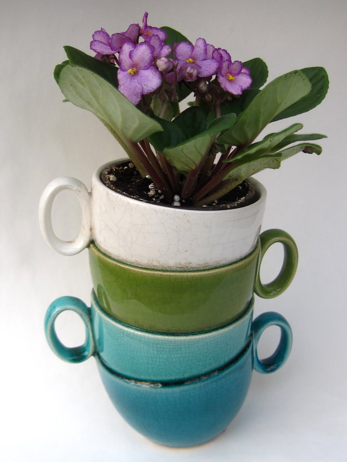 Tea With Friends A teacup planter from Hobby Lobby