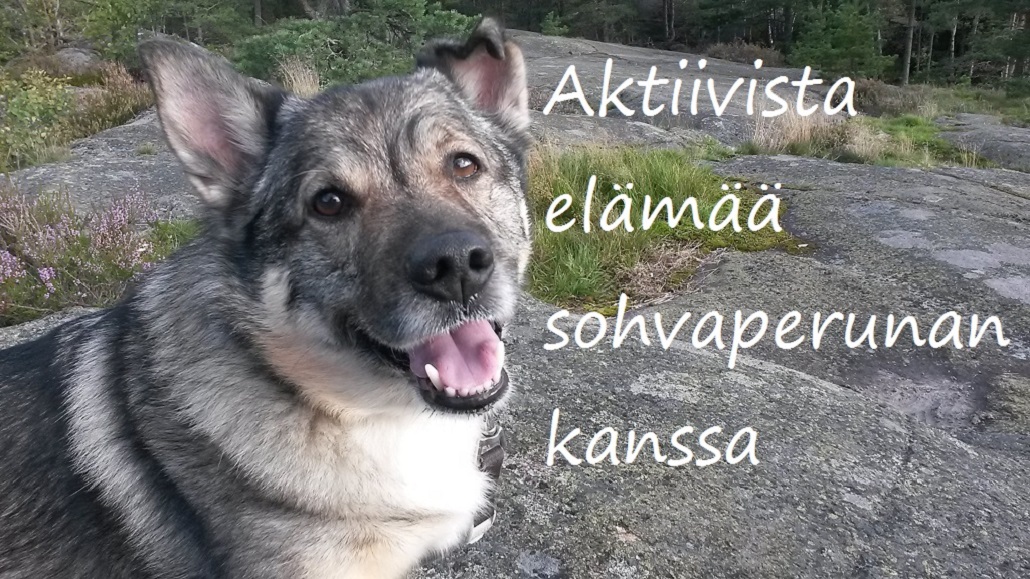 Aktiivista elämää sohvaperunan kanssa