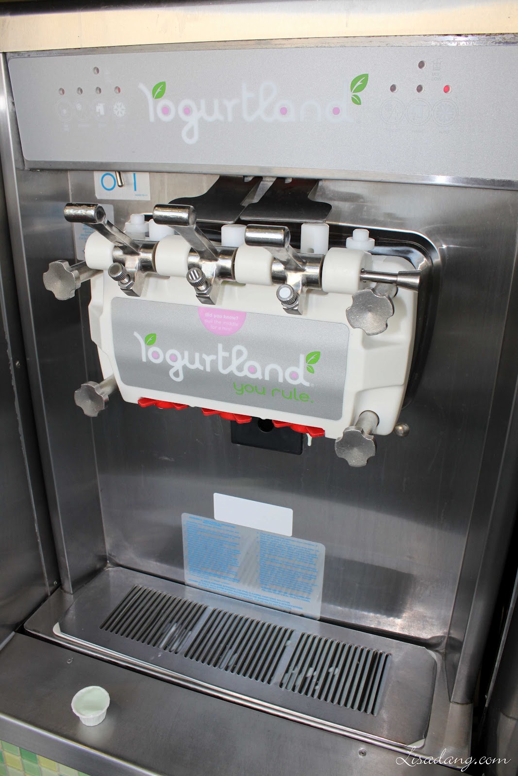 Dang It Delicious Yogurtland...and The Cheesecake Factory at The Grove