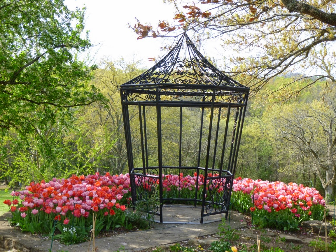 Pink and lavender tulips surround a gazebo