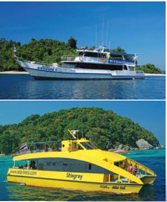 sea bees diving, Khao Lak