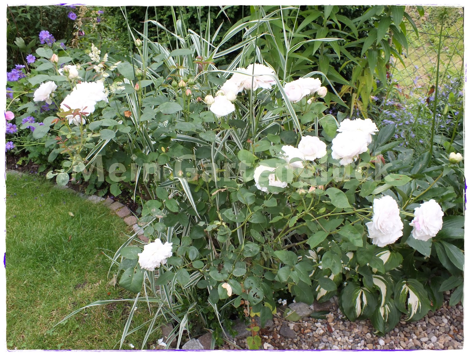 Mein Gartenglück ES WAR EINMAL.....