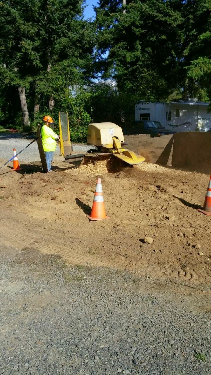 Commercial and Industrial Stump Removal Brads Stump and Tree Service