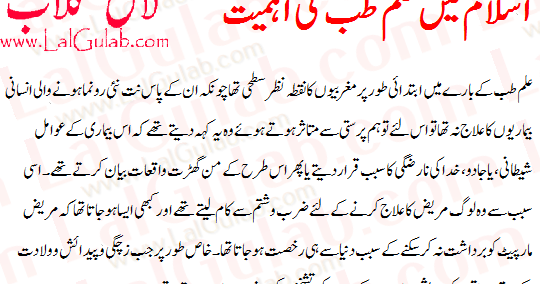 My favourite book ka essay english mein picture