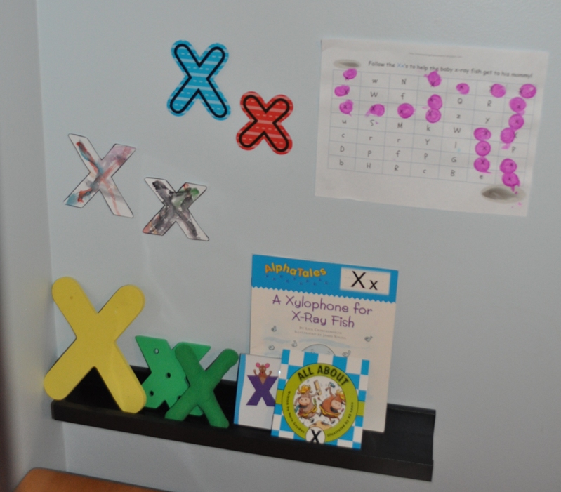 Memorizing the Moments X for XRay Fish