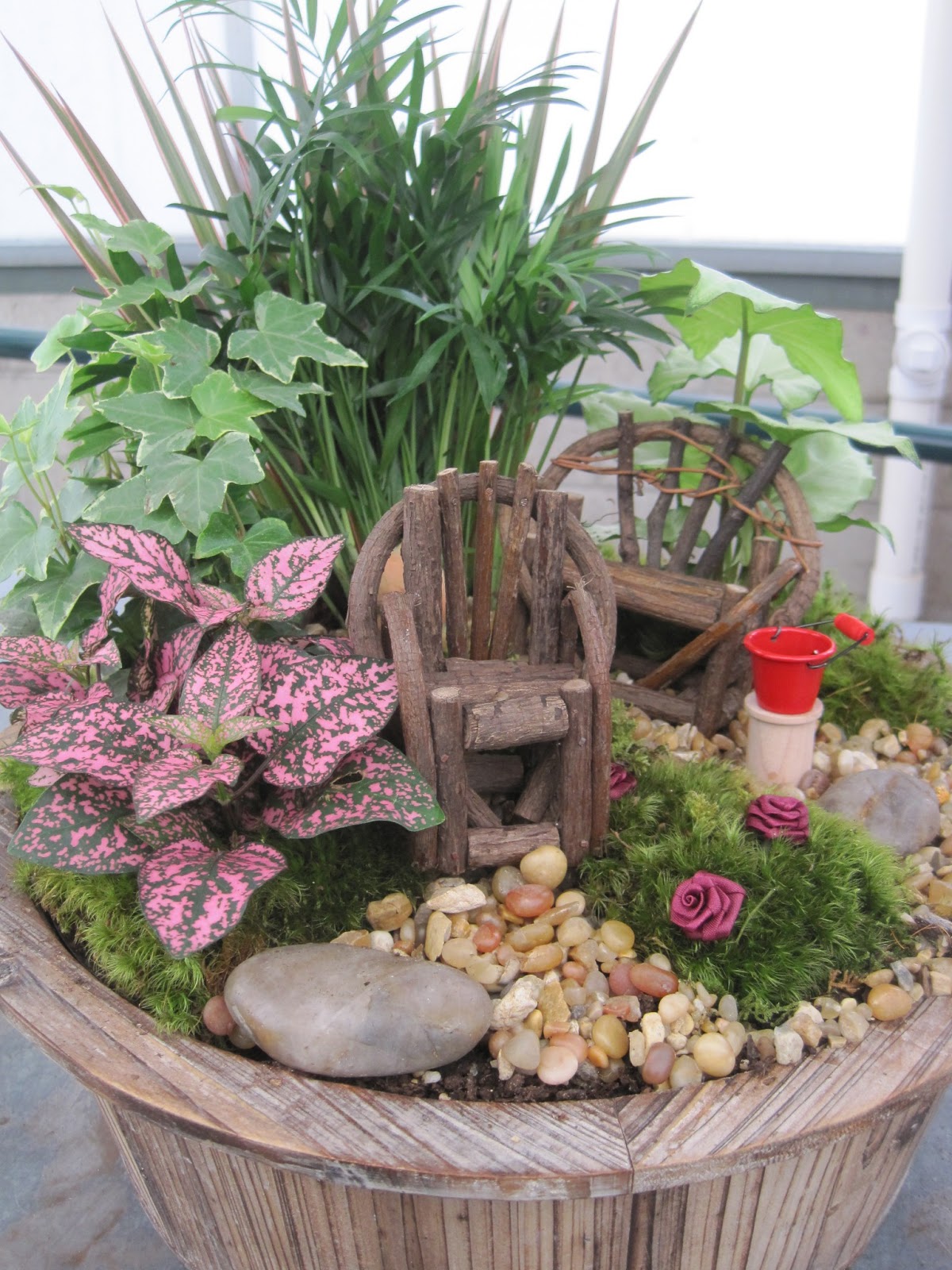 Plants, Flowers and Such Fairy Gardening